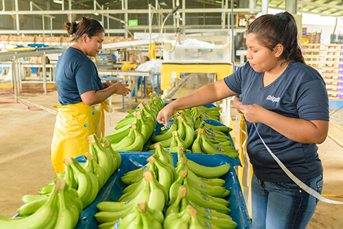 Chiquita tackles the challenge of empowering women - 3