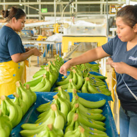 Chiquita y el empoderamiento de la mujer