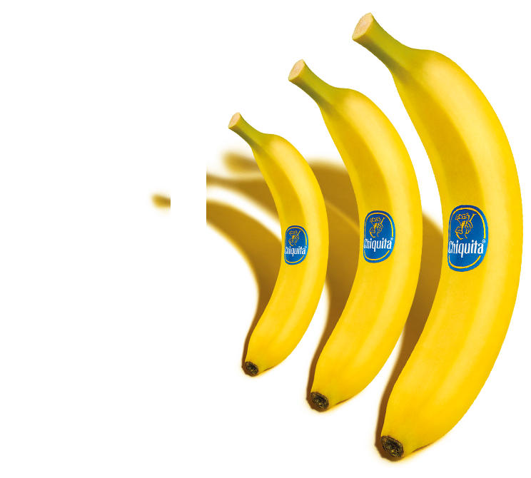 La canción de las bananas Chiquita