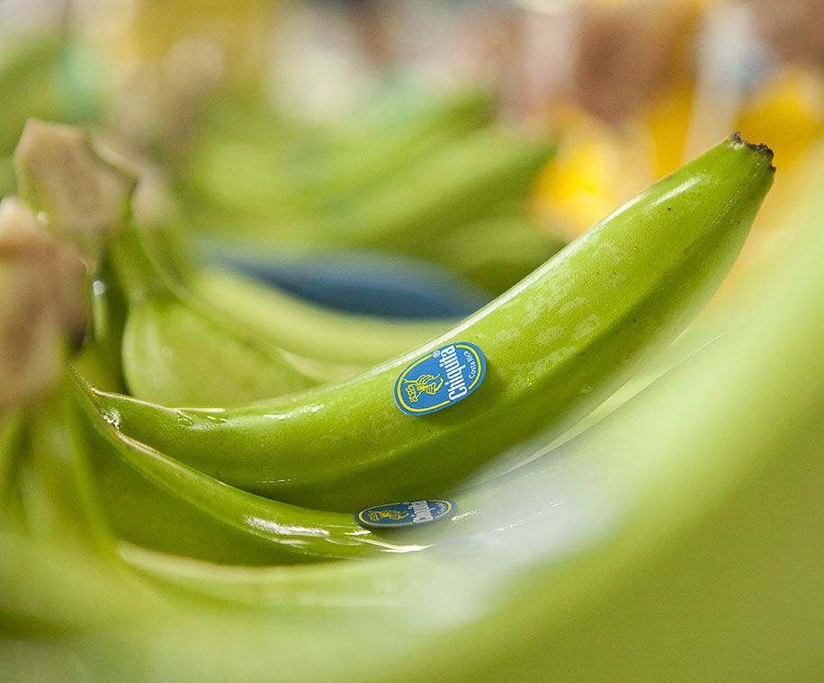 Marca Chiquita - Sostenibilidad