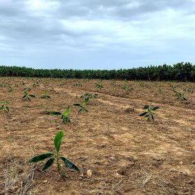 Nuestro compromiso con la agricultura sostenible