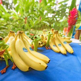 Chiquita se compromete a seguir protegiendo 10 años más la Reserva Nogal en honor a su vigésimo aniversario